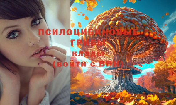 а пвп мука Магас