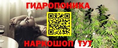 дживик Будённовск