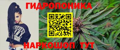 дживик Будённовск