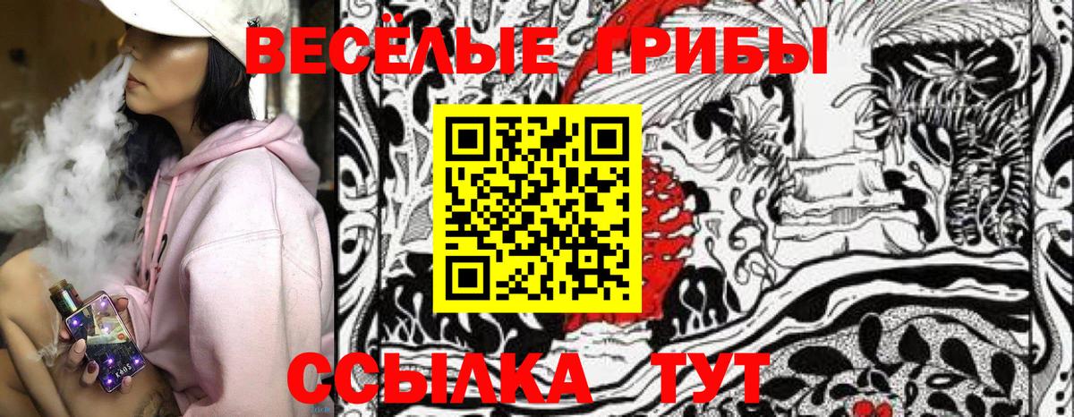Псилоцибиновые грибы мухоморы Камень-на-Оби