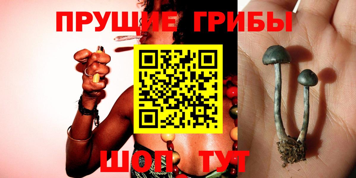 Псилоцибиновые грибы ЛСД  Галлюциногенные грибы GOLDEN TEACHER  Камень-на-Оби 