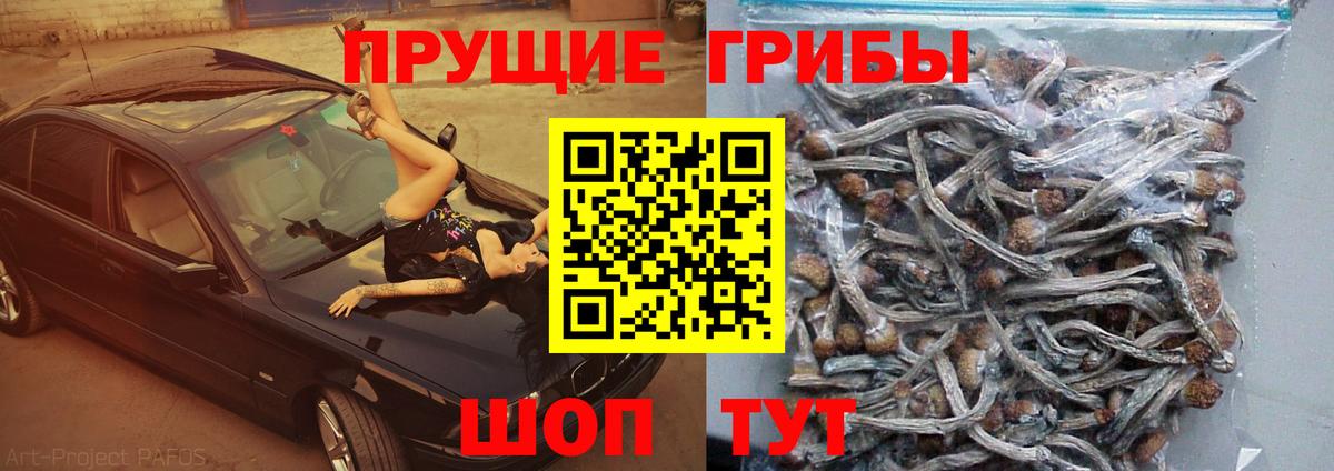 Камень-на-Оби  Псилоцибиновые грибы мицелий  Псилоцибиновые грибы ЛСД  Вход с VPN 